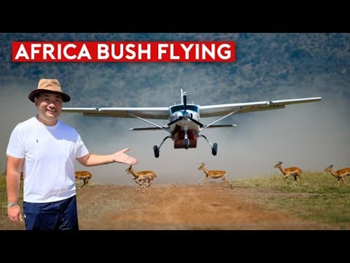 Animals on the Runway - Masai Mara Fly-in Safari Adventure