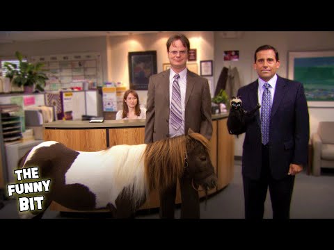 Activities To Bond With Your Co-Workers | The Office | The Funny Bit