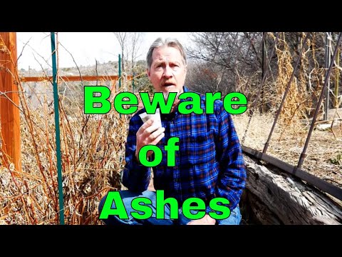 The Problem with Wood Ash in the Garden - It's Not All Good