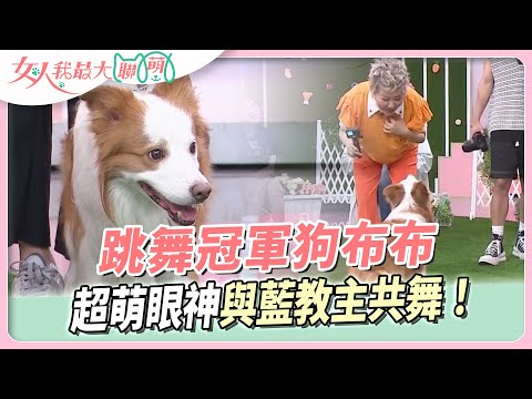 跳舞冠軍狗布布與藍教主共舞!超萌眼神連藍教主也融化! 女人我最大 20230731