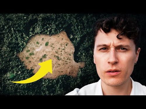 Why Europe's Forests Are Vanishing