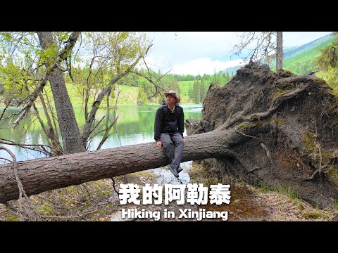 喀納斯河徒步旅遊,發現中國最美湖光山色,蒙古族牧民的生活方式太嚮往了!🇨🇳Hike Along the Most Beautiful River in China丨Xinjiang Travel 4K