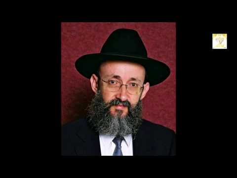 Ашер Кушнир. Физика чувств.