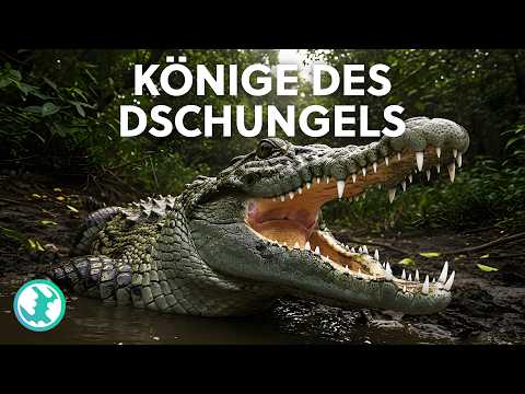 Im Reich der Schattenjäger: Die tödlichsten Tiere des Dschungels | Earth Stories Deutschland