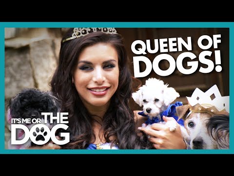 America's 'Royal Family' Needs Help With Their Dogs! | It's Me or The Dog