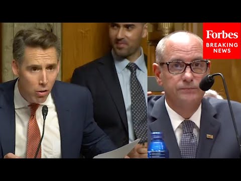 'That's Not What Your CEO Said': Josh Hawley Brings The Receipts During Confrontation With Witness