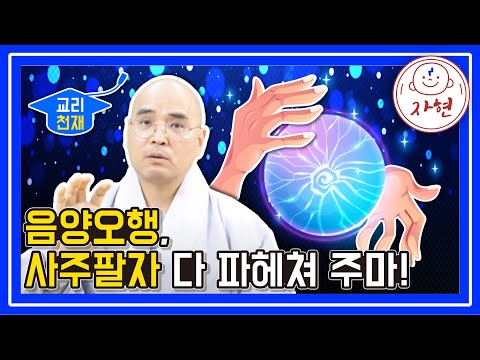 음양오행, 사주팔자 다 파헤쳐 주마 - 교리천재(합본)