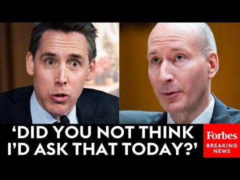 JUST IN: Josh Hawley Does Not Let Up On Biden Official In Tense Senate Hearing