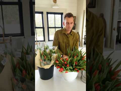 One of the simple things I do to keep myself happy during the winter!