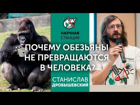 Why don't monkeys turn into humans? Stanislav Drobyshevsky