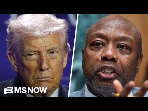 'About time they get a backbone': Reaction to GOP lawmakers criticizing Trump's racist post