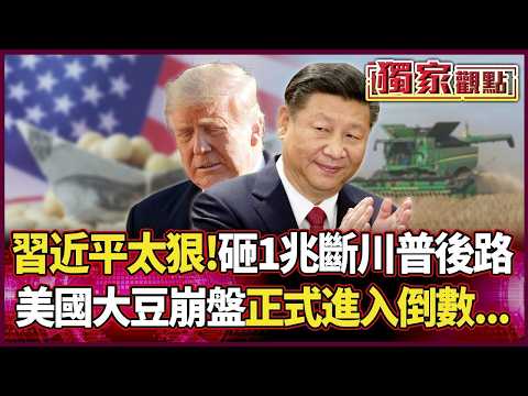 習近平太狠了!砸1兆種大豆斷川普後路 美國農產崩盤正式進入倒數...|#獨家觀點|#環球大戰線