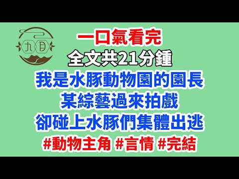 我是水豚動物園的園長。某綜藝過來拍戲。卻碰上水豚們集體出逃,工作人員急得半夜拍響了我的門。