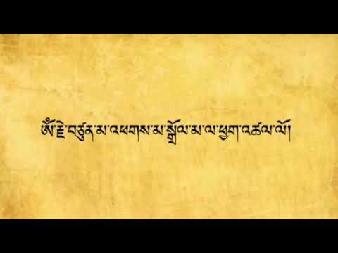 Dolma |Dolma 21 | སྒྲོལ་མ | dolma |