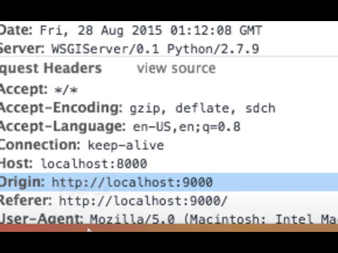 Creating WSGI Middleware - Alan Christopher Thomas - Minted - PythonKC