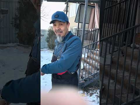 Dog behavior correction.