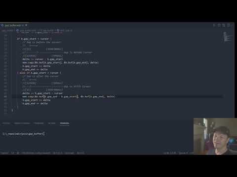 Implementing a Gap Buffer