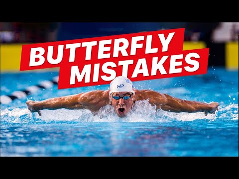 5 Butterfly Mistakes to Fix ASAP!!
