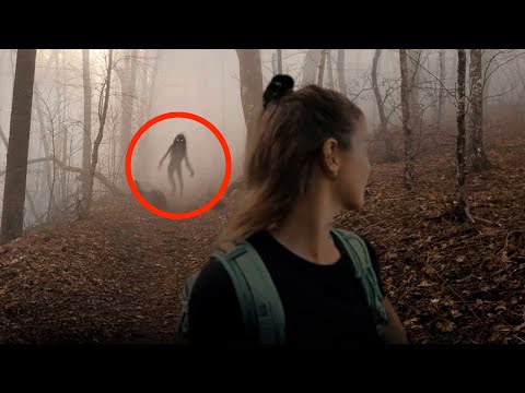 15 Scary Forest Videos That’ll Make You Avoid the Outdoors