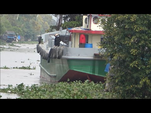 Tay lái lụa còn chào thua khi nhiều sà lan cùng lúc vào cua gấp