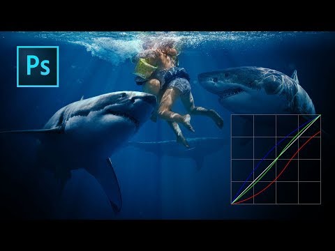 Color Grading with Curves in Photoshop