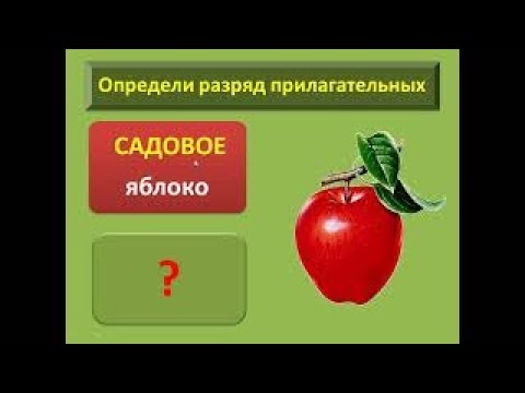 Разряды имен прилагательных по значению 6 класс | #твшкола5+