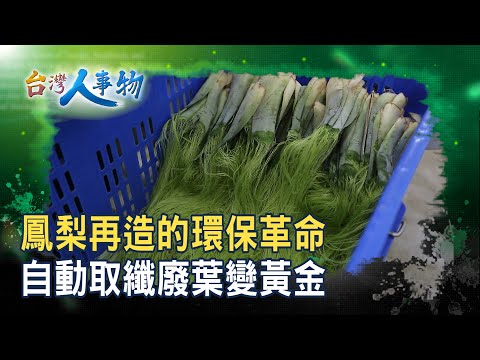 “鳳梨葉”變身“時尚環保材”|工研院/屏東高樹鄉農會/屏東九如鄉農會/世堡紡織/NUPELLE-素食皮革|【台灣人事物】2025.11.08