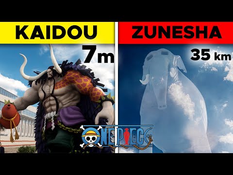 🏴☠️ ONE PIECE Comparison ► First person view!