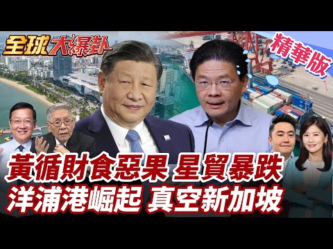 亞洲航運霸權換人當?新加坡坐不住了!中國洋浦港運力破700萬噸!印尼金光集團棄星國!新加坡轉口貿易暴跌11%! 20251219【#全球大爆卦】精華版5 @全球大視野Global_Vision