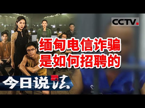《今日说法》三名男子计划去缅甸从事电信诈骗挣高薪 跨境线上突然反悔 报警求助 20230908 | CCTV今日说法官方频道