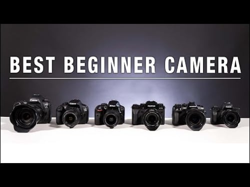 Best Beginner Camera - What you need to know