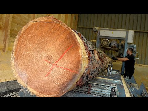 From a Giant Tree to Beautiful Wooden Cladding for a House | UNBELIEVABLE Transformation