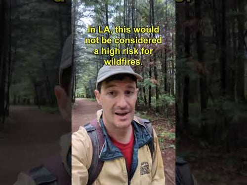 I went to the strangest border town