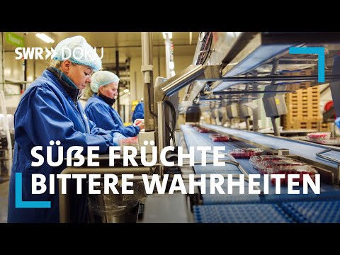 Beeren aus dem Ausland importiert: Süße Früchte – Bittere Wahrheiten | SWR Doku