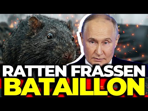 BIOMASS SATURATION: Corpses as a defense mechanism, 40% nervous exhaustion – hallucinations galore!