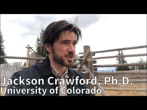 Lord of the Noose: Odin and the Dead