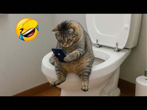 Funniest Cats of 2025 ๐น You Wonโt Stop Laughing! Part 22