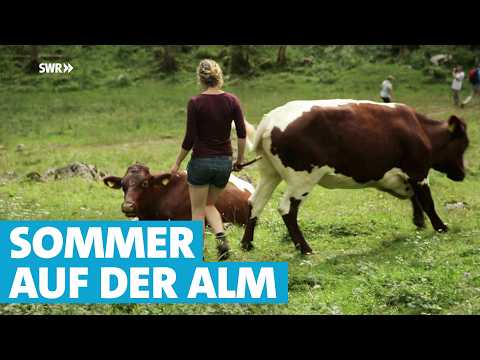 Leben und Arbeiten auf der Alm: Ein Sommer in den Bergen