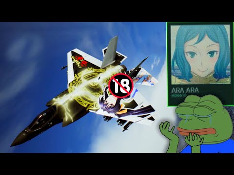 What Modders did to Ace Combat