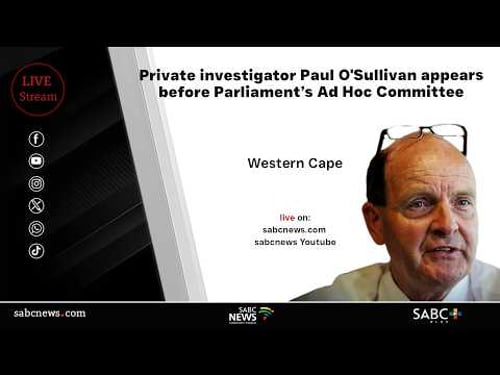 Paul O'Sullivan appears before Parliament’s Ad Hoc Committee | 11 February 2026