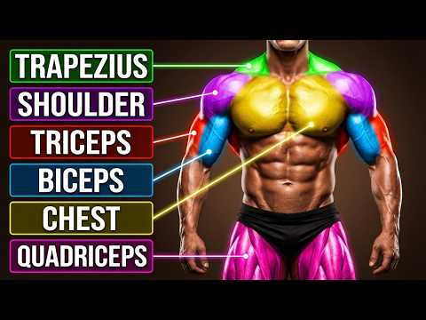 The #1 Exercise for Every Muscle Group