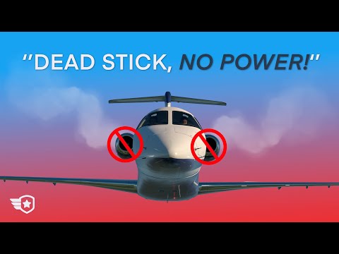 Passenger Causes DUAL ENGINE FAILURE | Accident Case Study