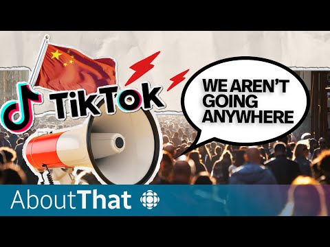 TikTok lays out the case for its own survival | About That