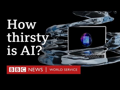 How AI uses our drinking water - BBC World Service