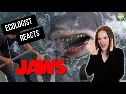Shark Scientist Reacts To JAWS