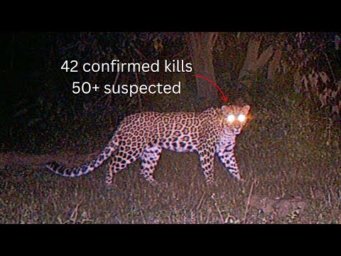 The Man-Eater of Gummalapur: "Shaitan"