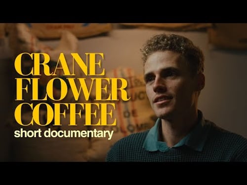 This Café Owner's Vision for African Coffee Is Radical