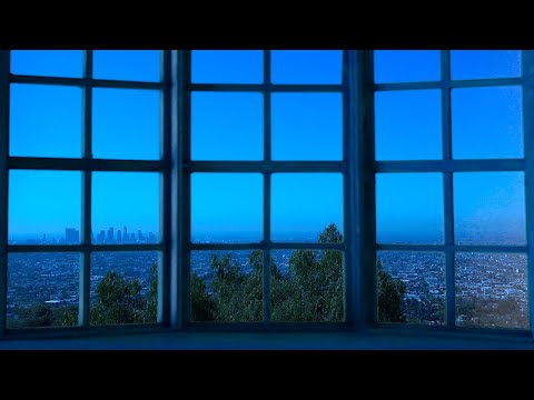 LA Bay Window: Relaxing Sleep Video and Sound for Meditation, Stress Relief & Relaxation for Anxiety