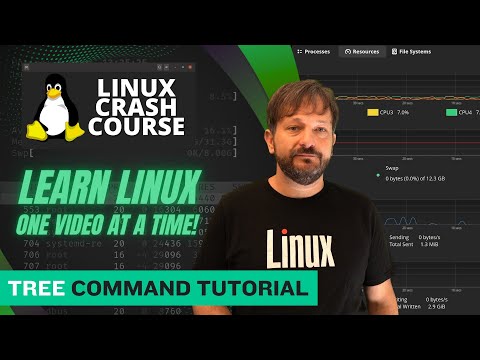 Unlock the Power of the Linux tree Command