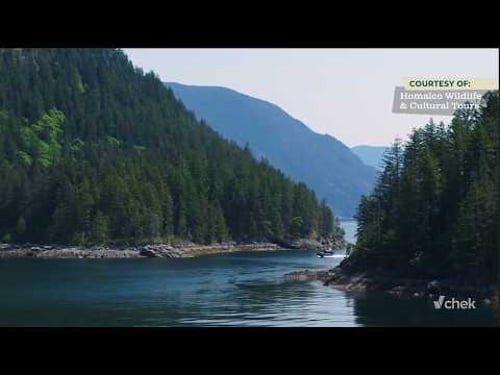 The best places to stay and play in Campbell River